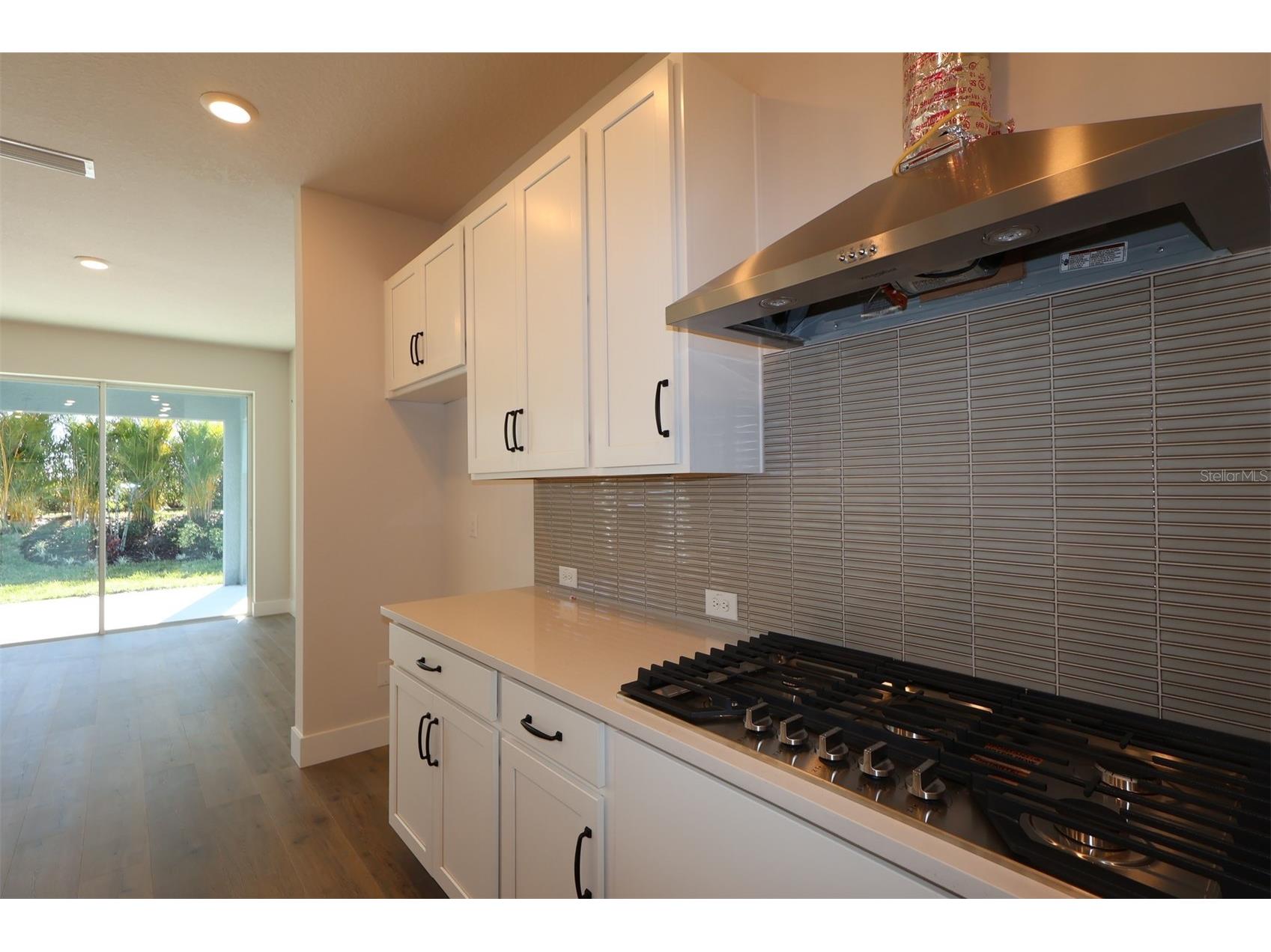 5263 Everlong Drive Apollo Beach FL 33572 TB8467020 image6