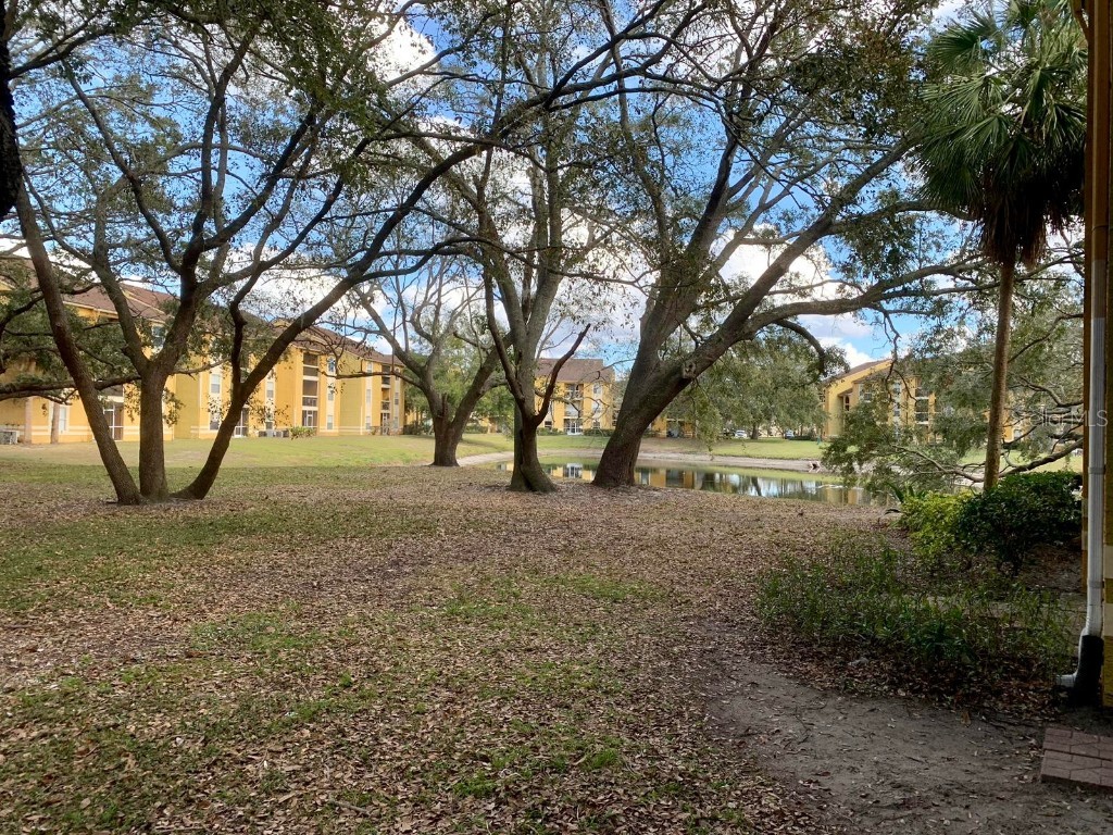 5263 Images Circle #106 Kissimmee FL 34746 O6349218 image10