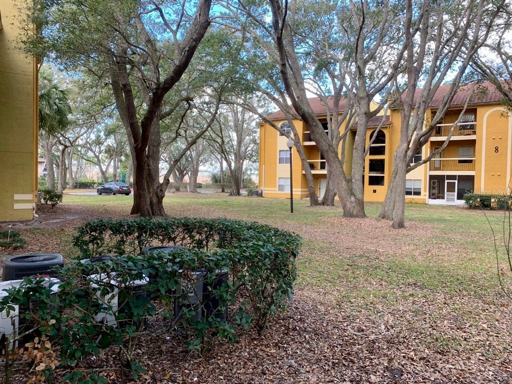 5263 Images Circle #106 Kissimmee FL 34746 O6349218 image17