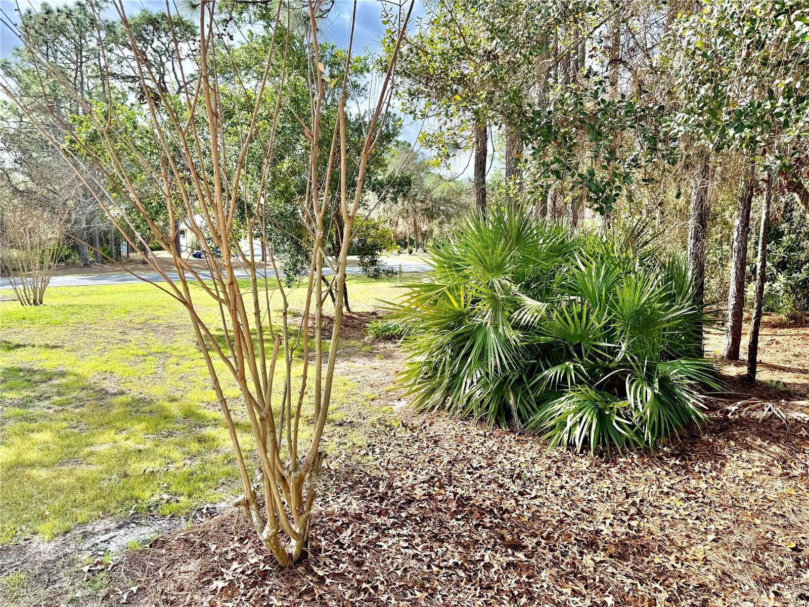 5263 W Yuma Lane Beverly Hills FL 34465 OM716703 image5