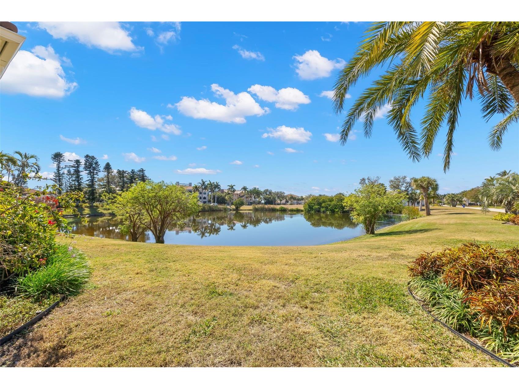 5264 61st Avenue S Saint Petersburg FL 33715 TB8477321 image6