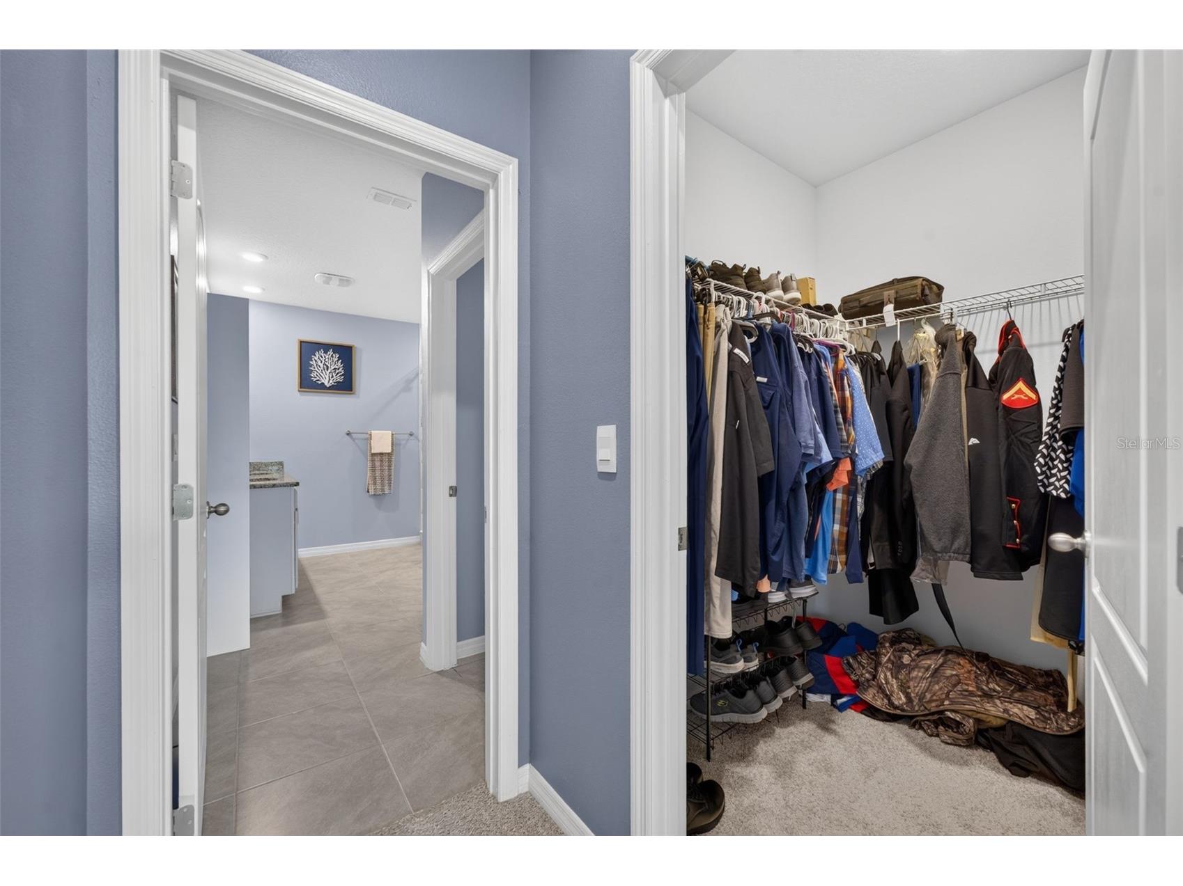 5264 Greenheart Avenue Mount Dora FL 32757 O6423917 image20