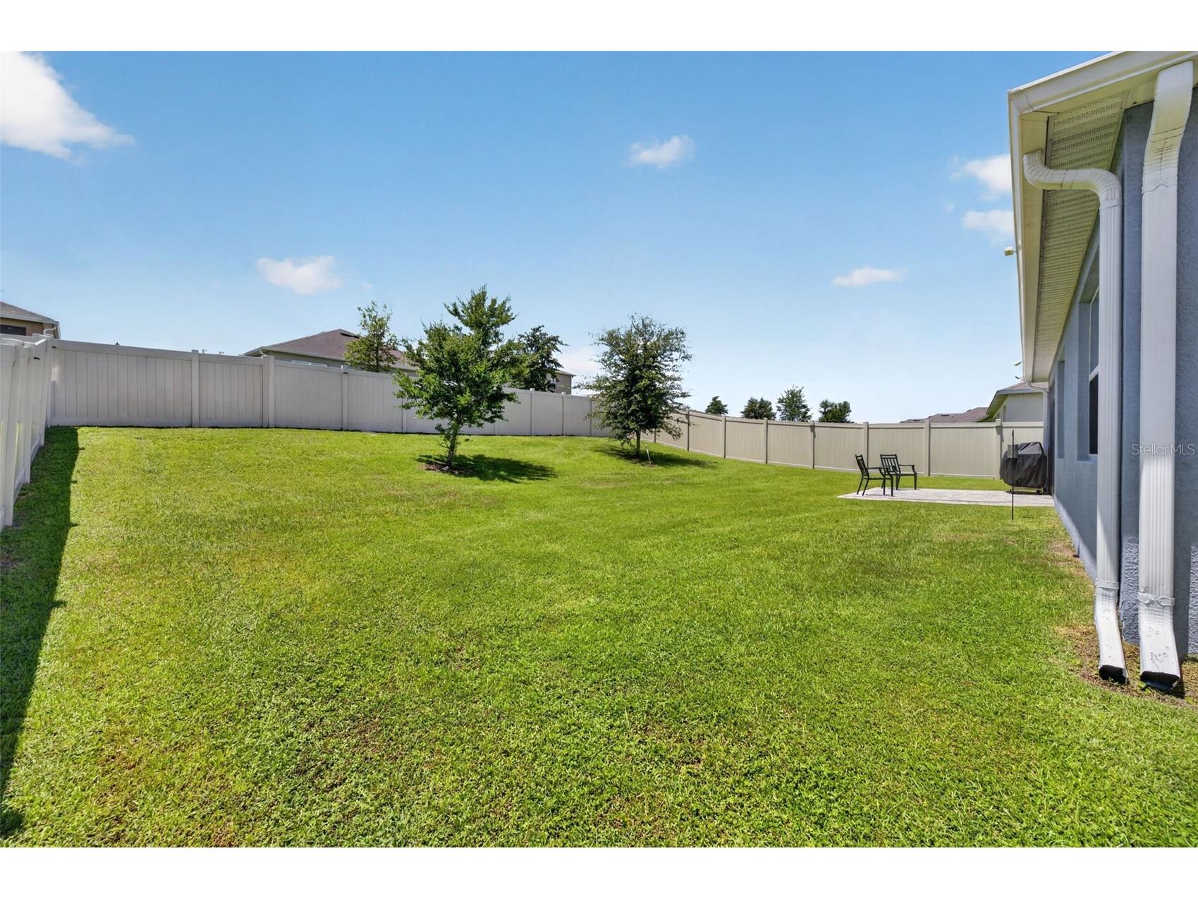 5264 Greenheart Avenue Mount Dora FL 32757 O6423917 image28