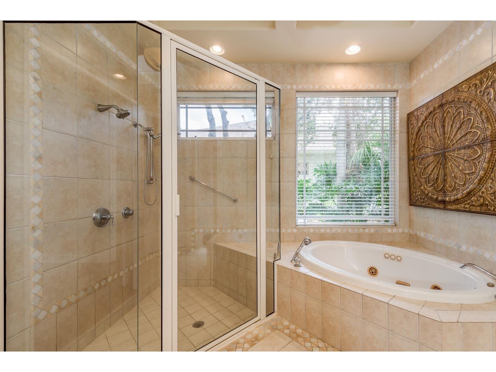 5264 Karlsburg Place Palm Harbor FL 34685 TB8443040 image29