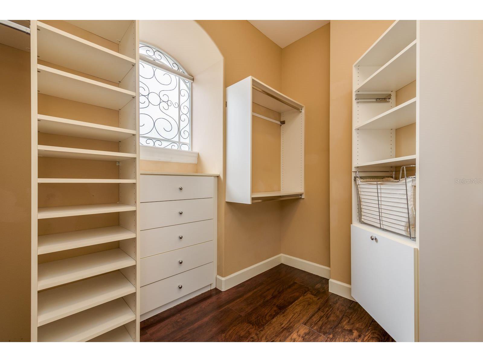 5264 Karlsburg Place Palm Harbor FL 34685 TB8443040 image30