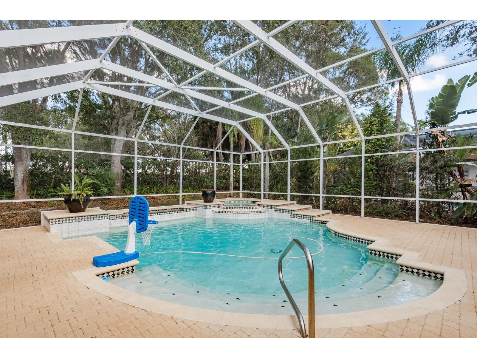 5264 Karlsburg Place Palm Harbor FL 34685 TB8443040 image4