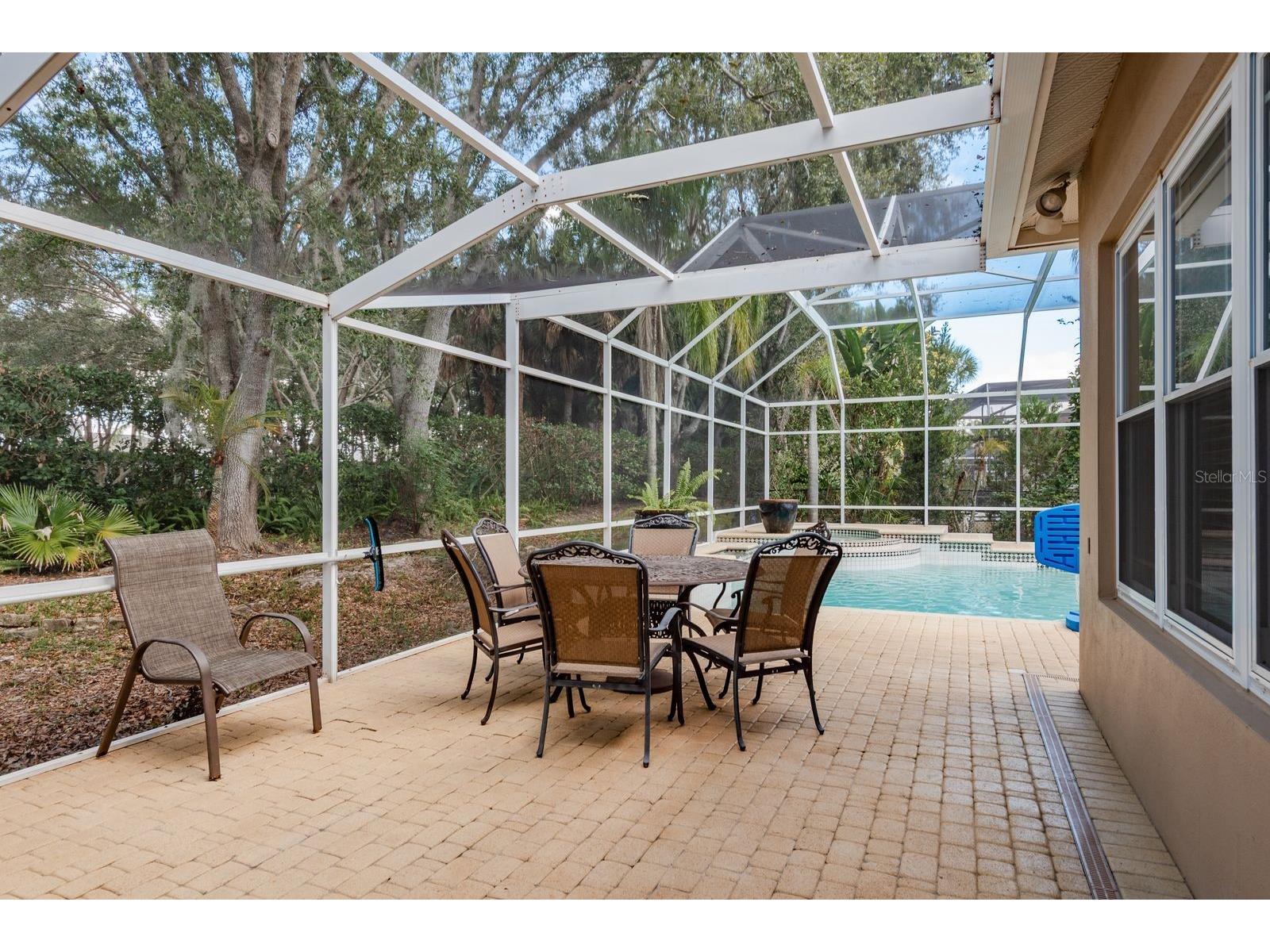 5264 Karlsburg Place Palm Harbor FL 34685 TB8443040 image41