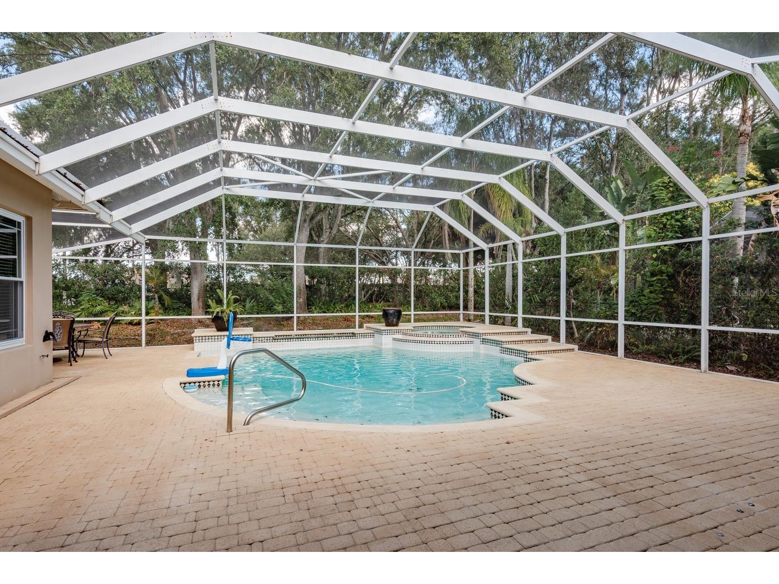 5264 Karlsburg Place Palm Harbor FL 34685 TB8443040 image42