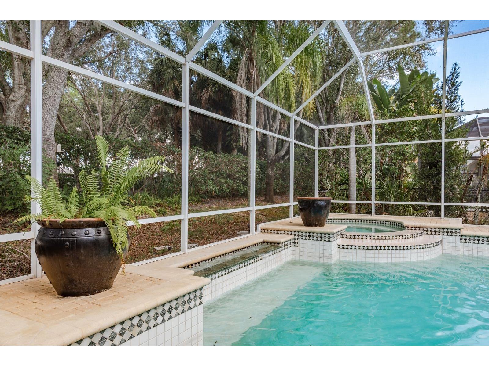 5264 Karlsburg Place Palm Harbor FL 34685 TB8443040 image44