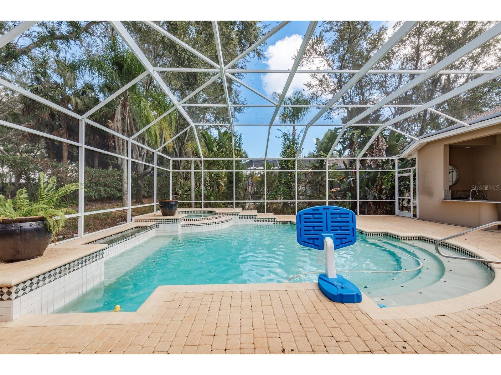 5264 Karlsburg Place Palm Harbor FL 34685 TB8443040 image45