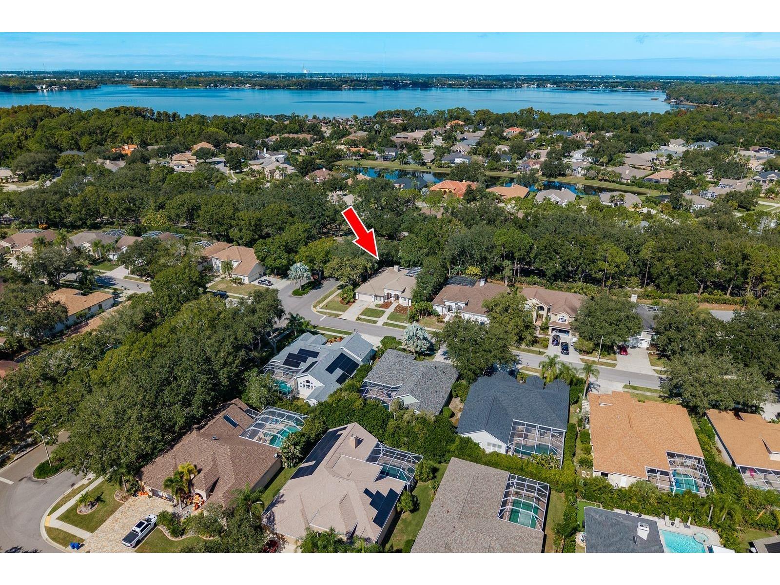 5264 Karlsburg Place Palm Harbor FL 34685 TB8443040 image50