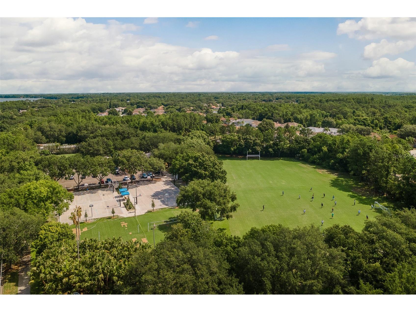 5264 Karlsburg Place Palm Harbor FL 34685 TB8443040 image52