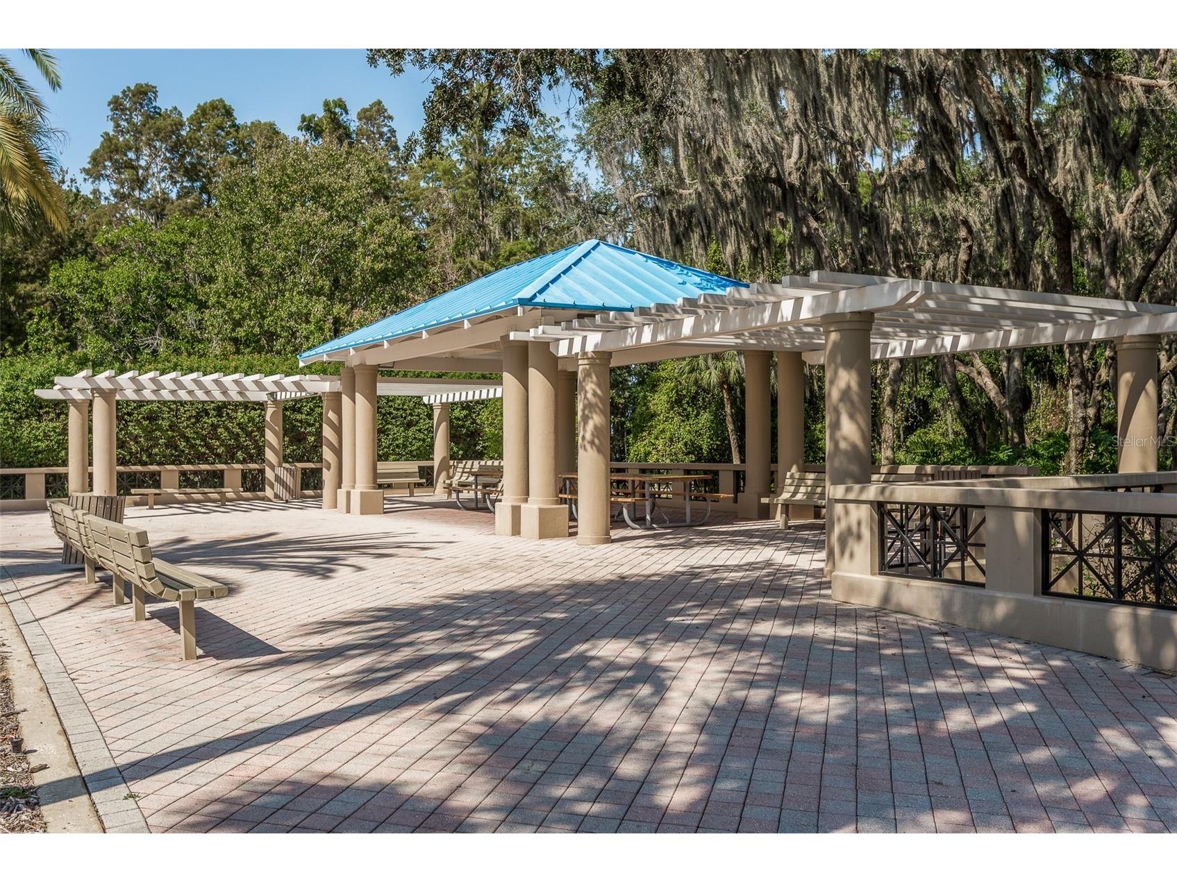 5264 Karlsburg Place Palm Harbor FL 34685 TB8443040 image54