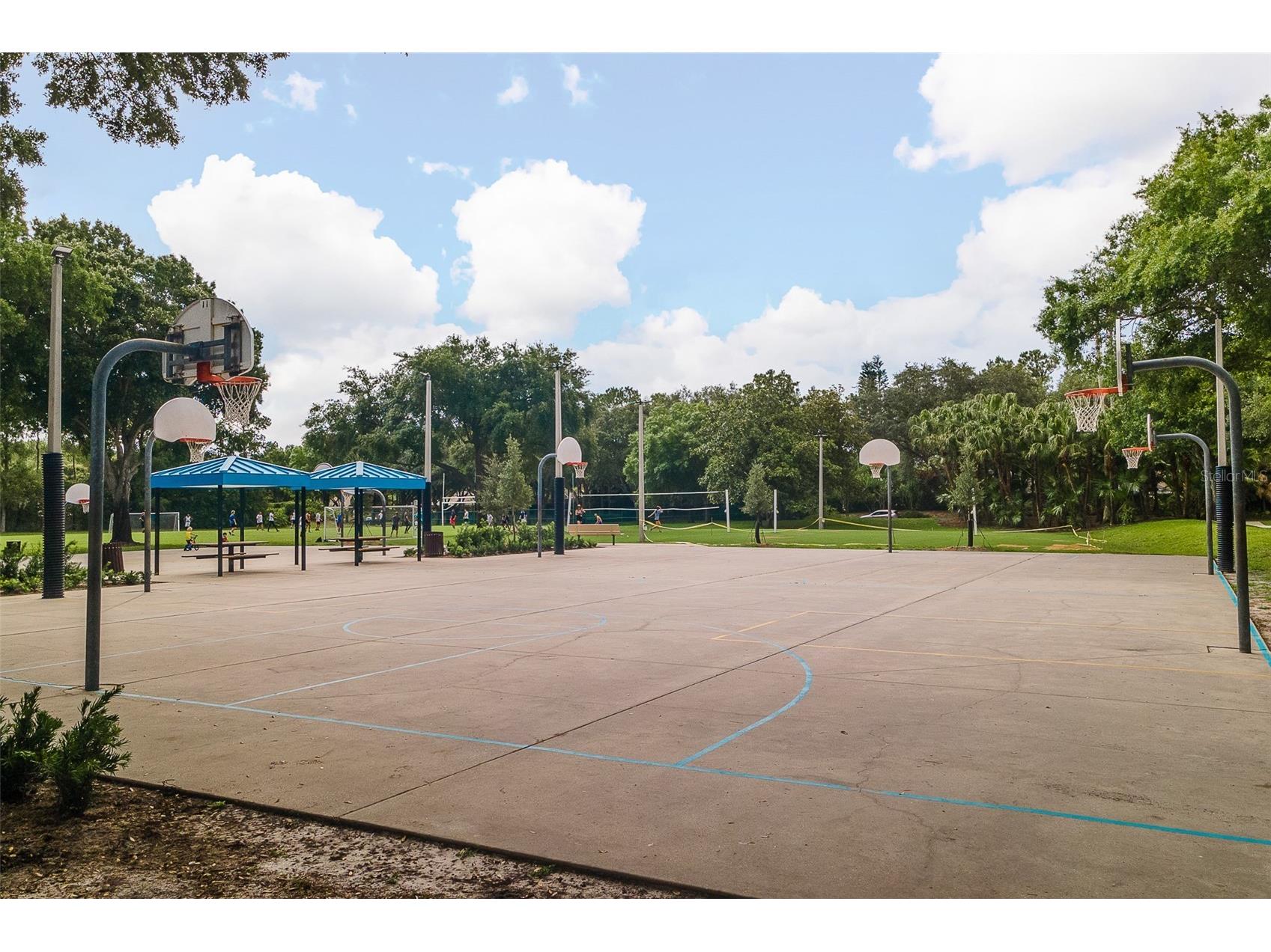 5264 Karlsburg Place Palm Harbor FL 34685 TB8443040 image56