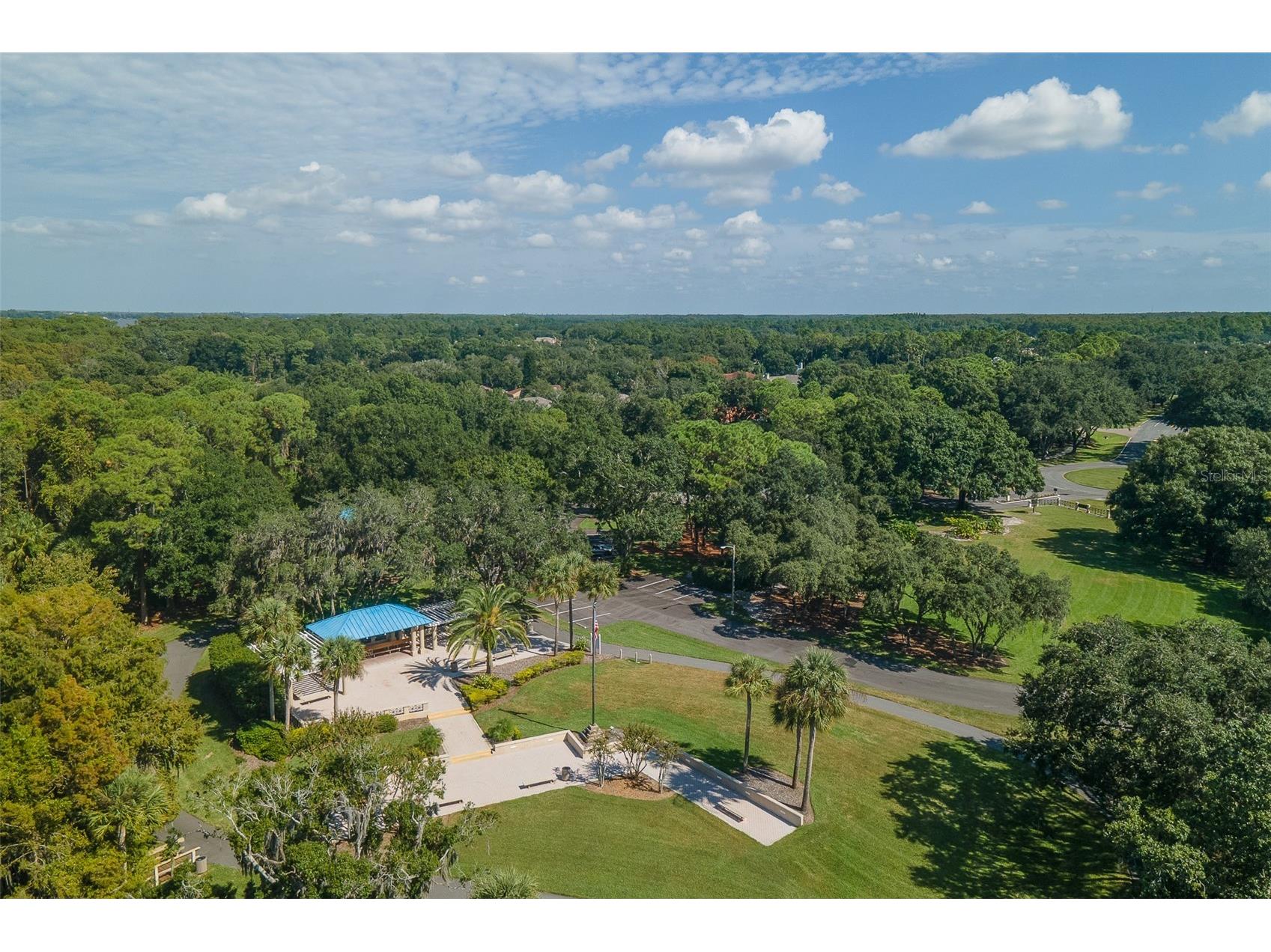 5264 Karlsburg Place Palm Harbor FL 34685 TB8443040 image57