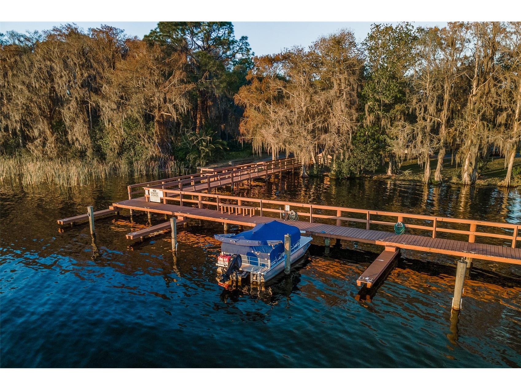 5264 Karlsburg Place Palm Harbor FL 34685 TB8443040 image58