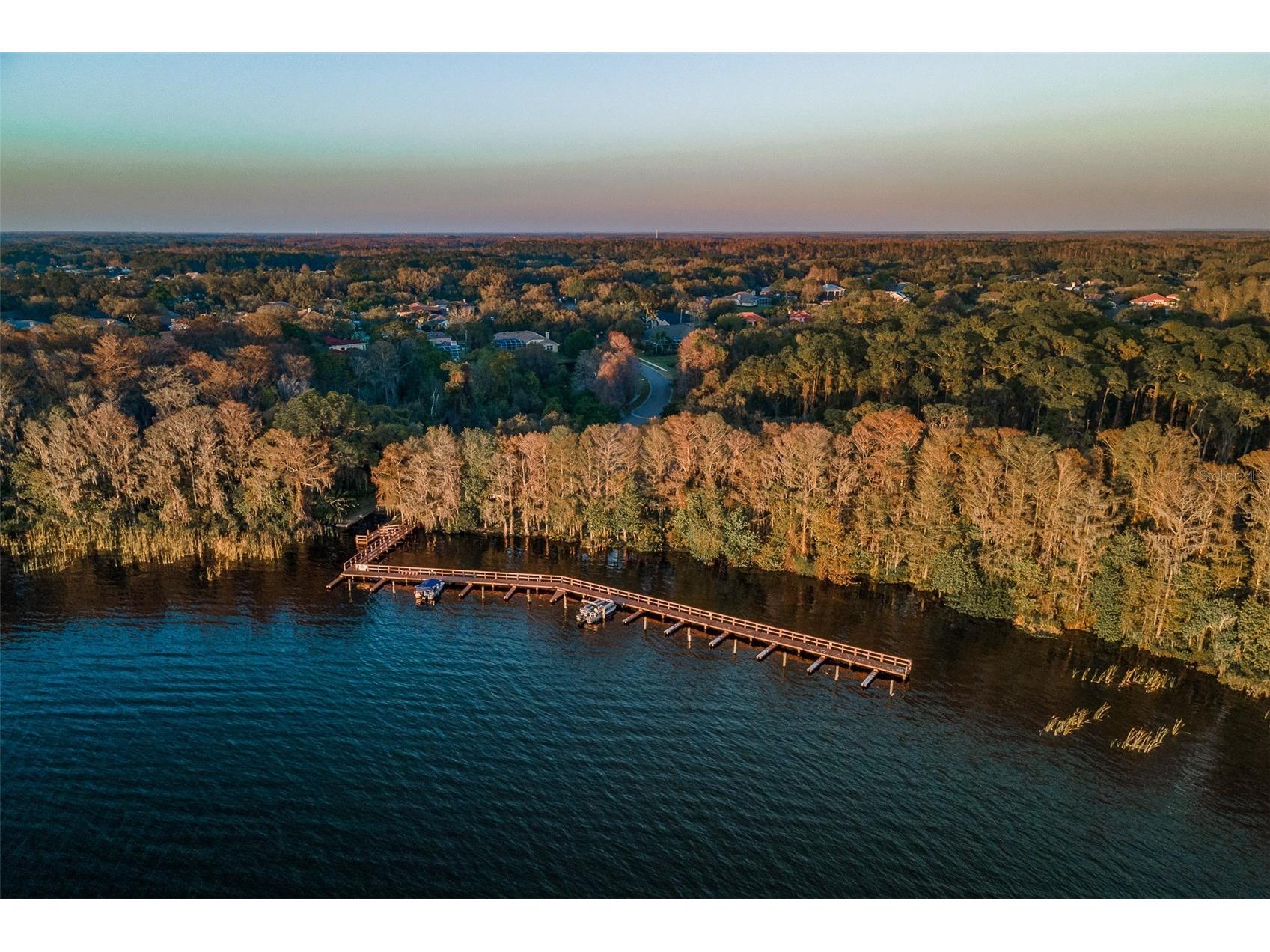 5264 Karlsburg Place Palm Harbor FL 34685 TB8443040 image59