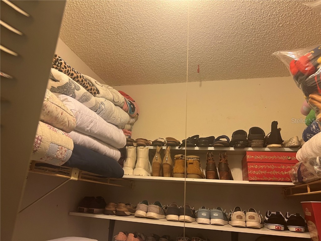 5264 Tennis Court Circle #5 Tampa FL 33617 TB8436609 image8