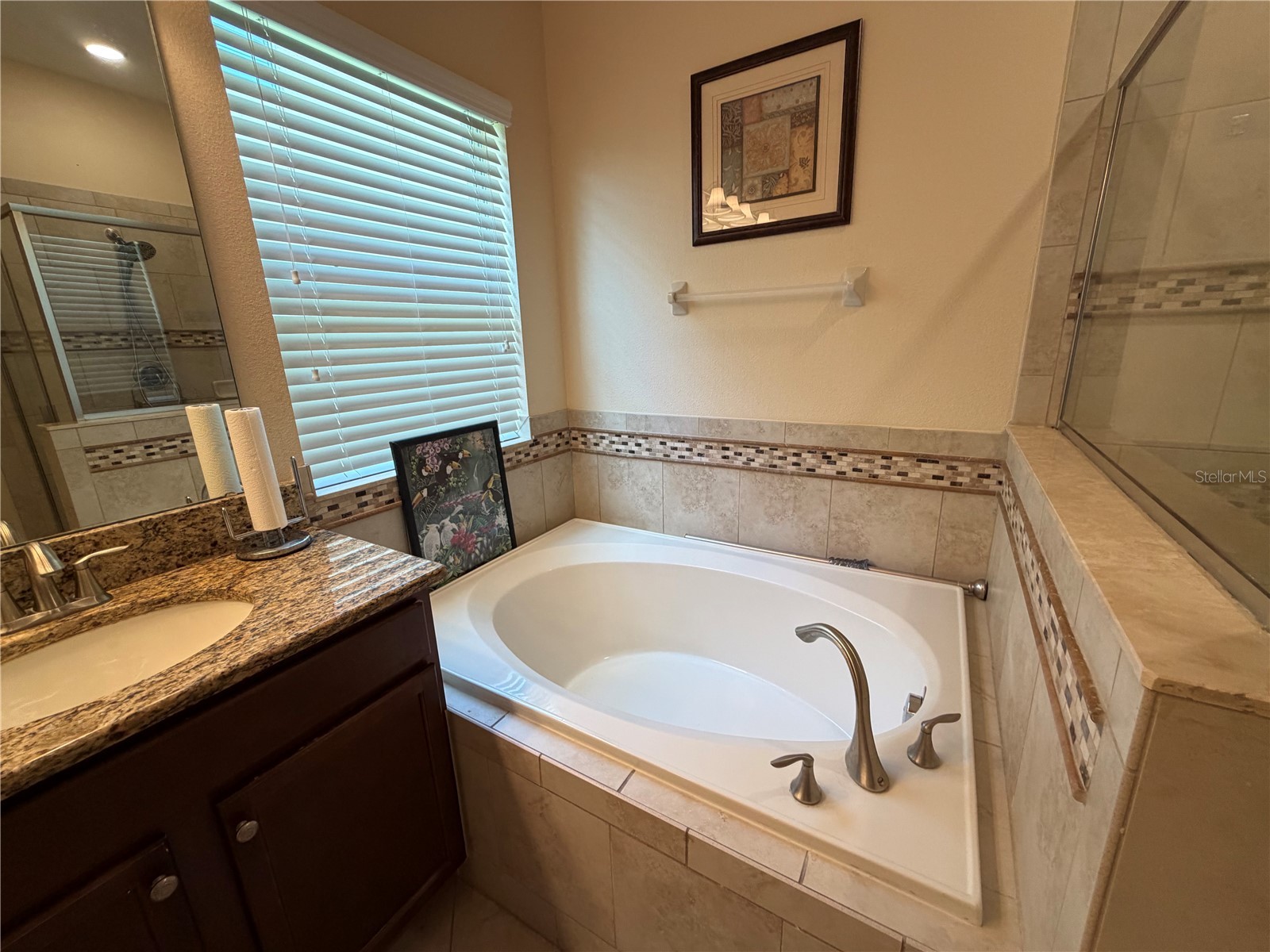 5265 Cortland Drive Davenport FL 33837 S5150433 image28