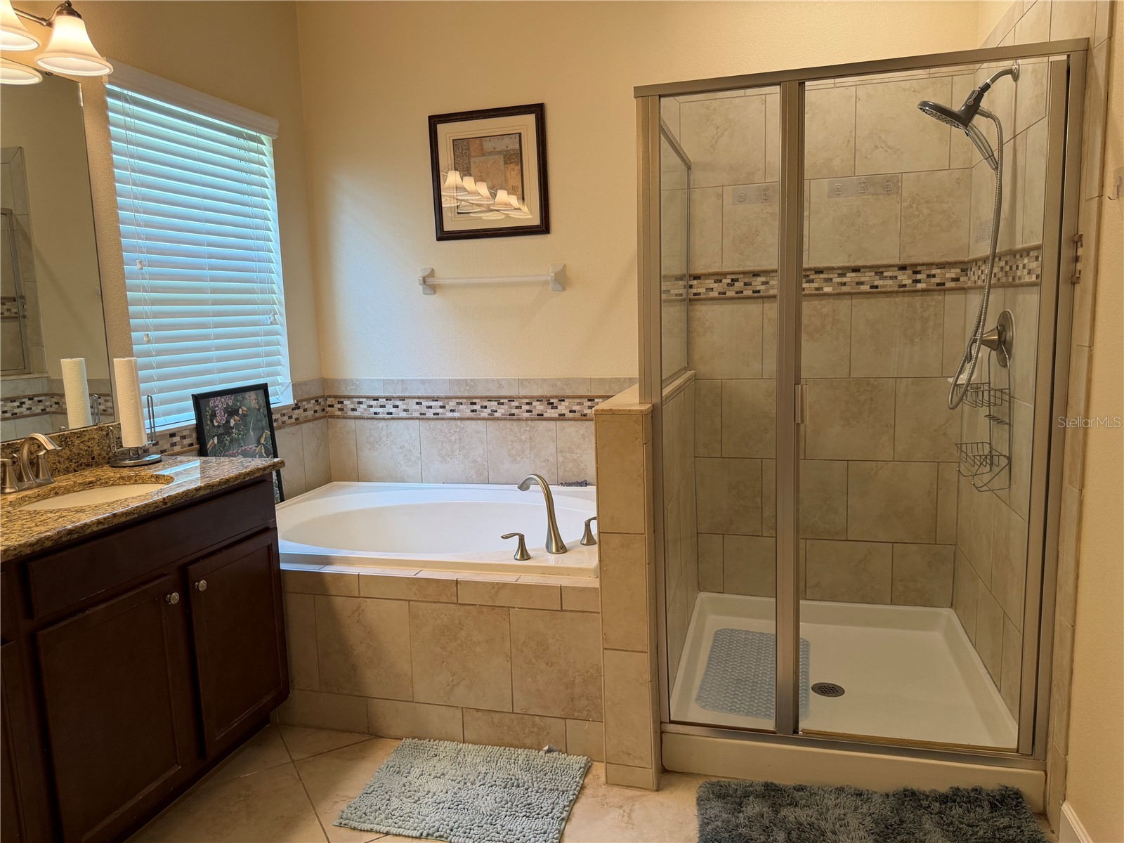 5265 Cortland Drive Davenport FL 33837 S5150433 image30