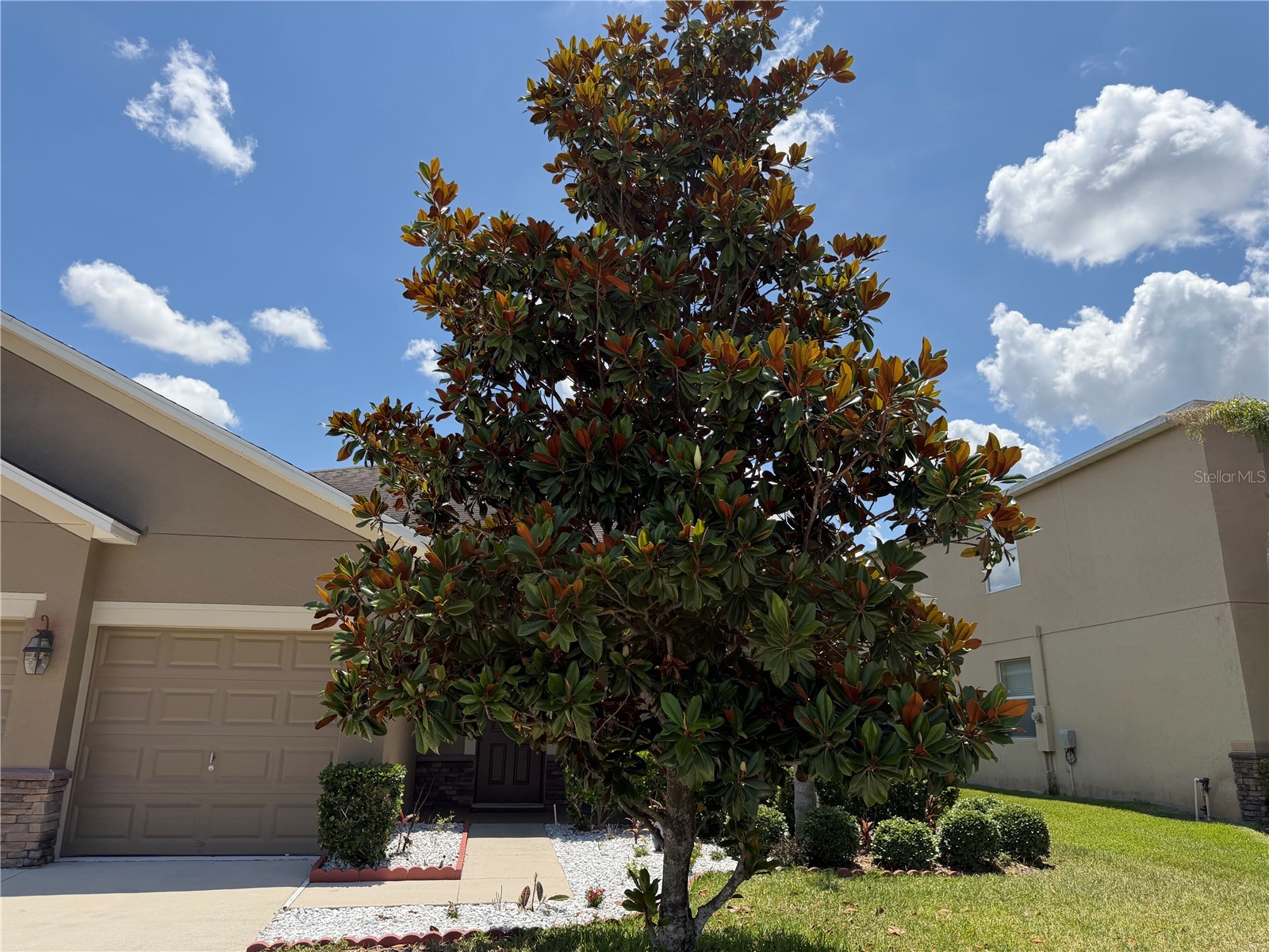 5265 Cortland Drive Davenport FL 33837 S5150433 image42