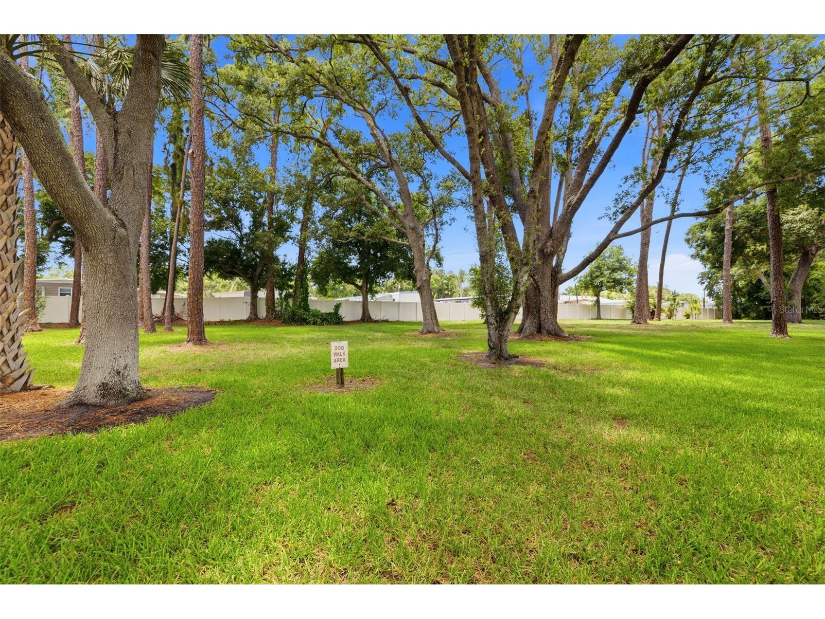 5265 E Bay Drive #114 Clearwater FL 33764 TB8523512 image29