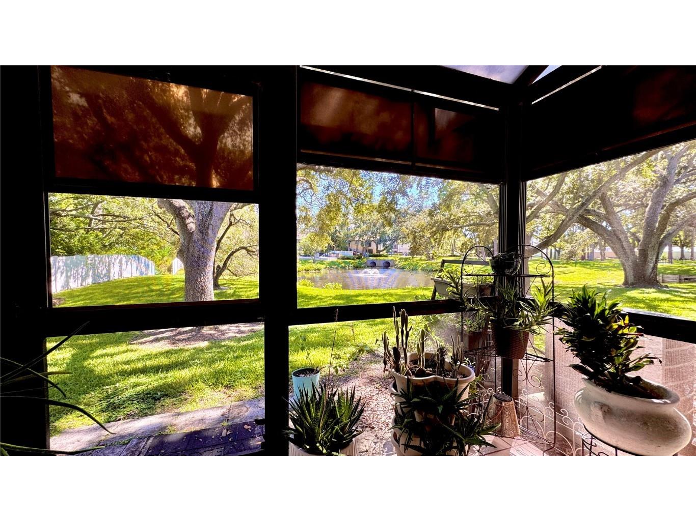 5265 E Bay Drive #310 Clearwater FL 33764 TB8431982 image24