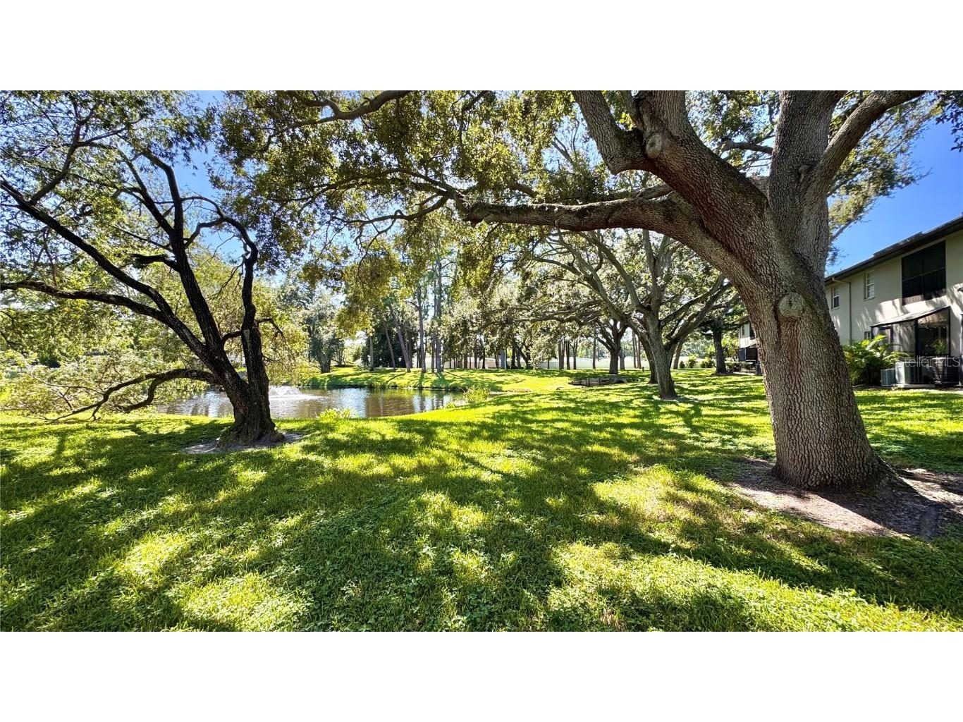 5265 E Bay Drive #310 Clearwater FL 33764 TB8431982 image27