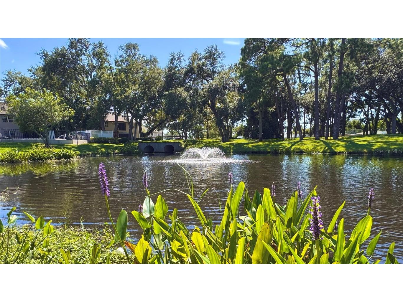 5265 E Bay Drive #310 Clearwater FL 33764 TB8431982 image29