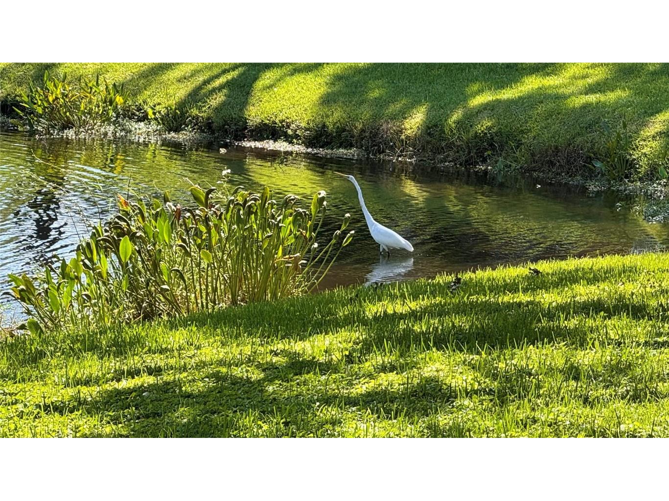 5265 E Bay Drive #310 Clearwater FL 33764 TB8431982 image30