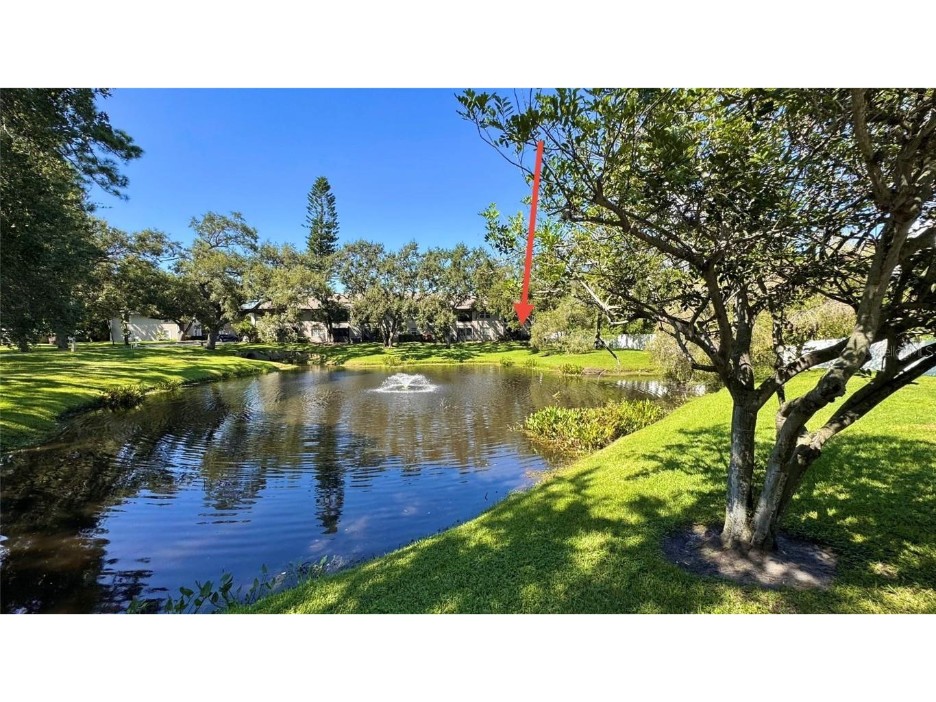 5265 E Bay Drive #310 Clearwater FL 33764 TB8431982 image37