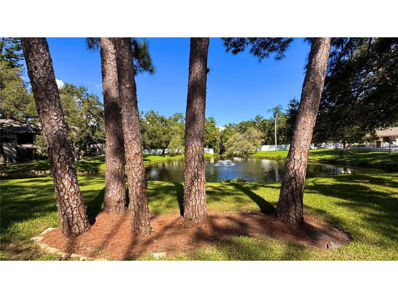 5265 E Bay Drive #310 Clearwater FL 33764 TB8431982 image41