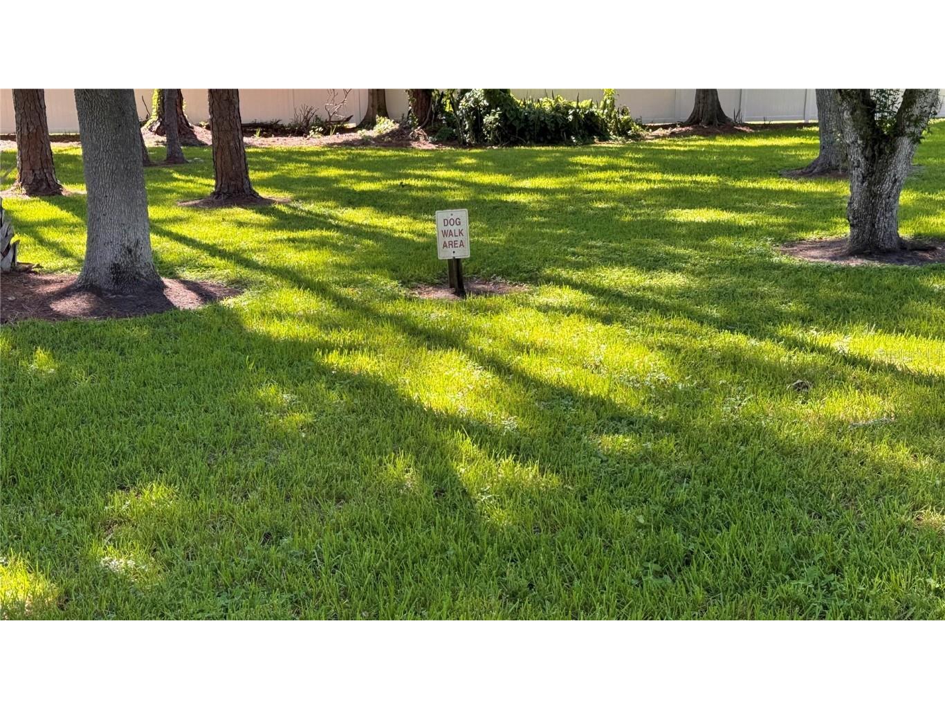 5265 E Bay Drive #310 Clearwater FL 33764 TB8431982 image42