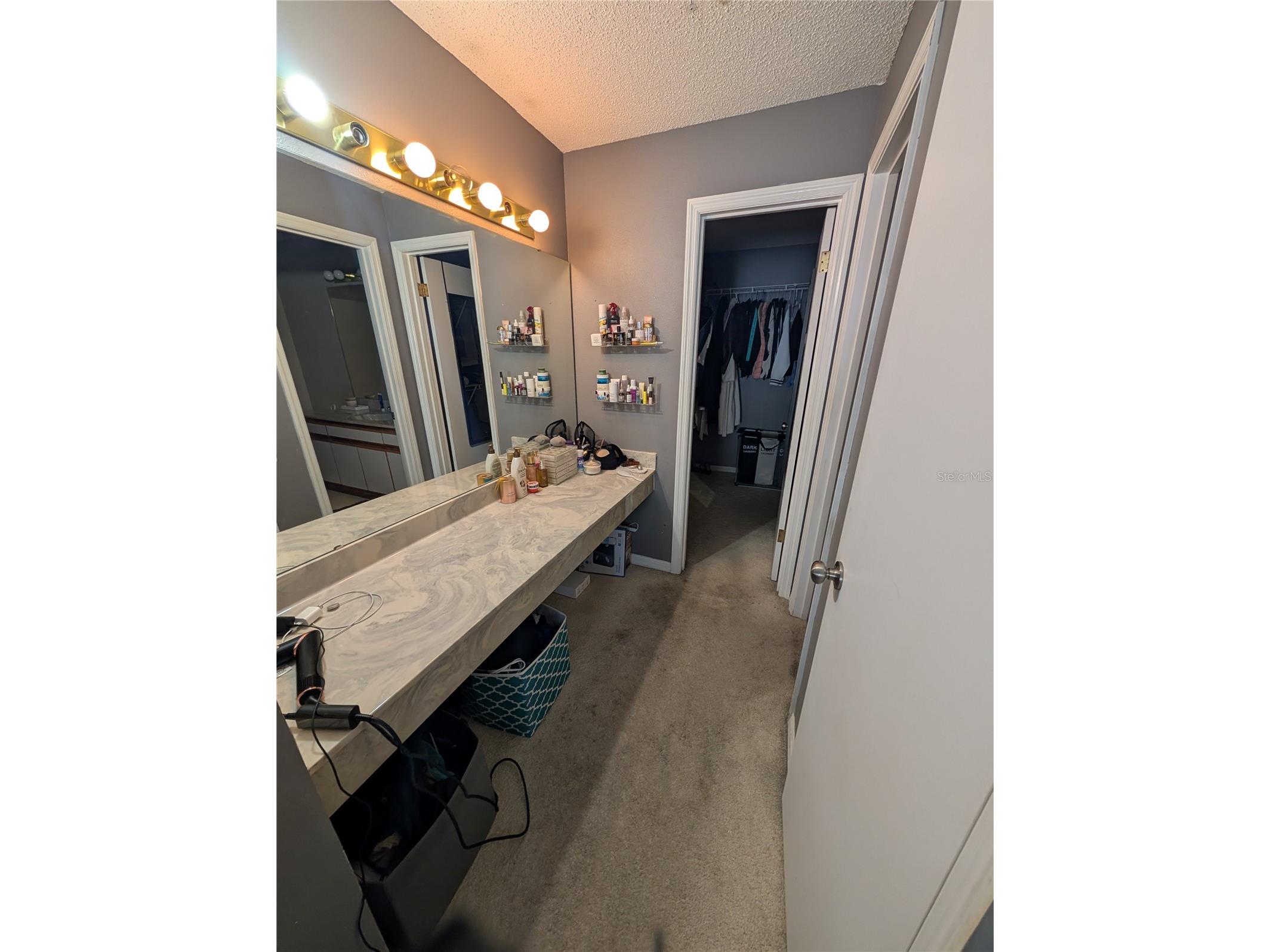 5266 Tunbridge Wells Lane #1807 Orlando FL 32812 O6385044 image13