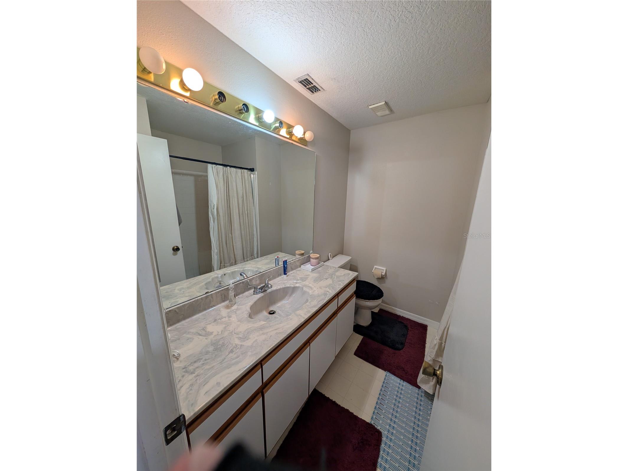 5266 Tunbridge Wells Lane #1807 Orlando FL 32812 O6385044 image14