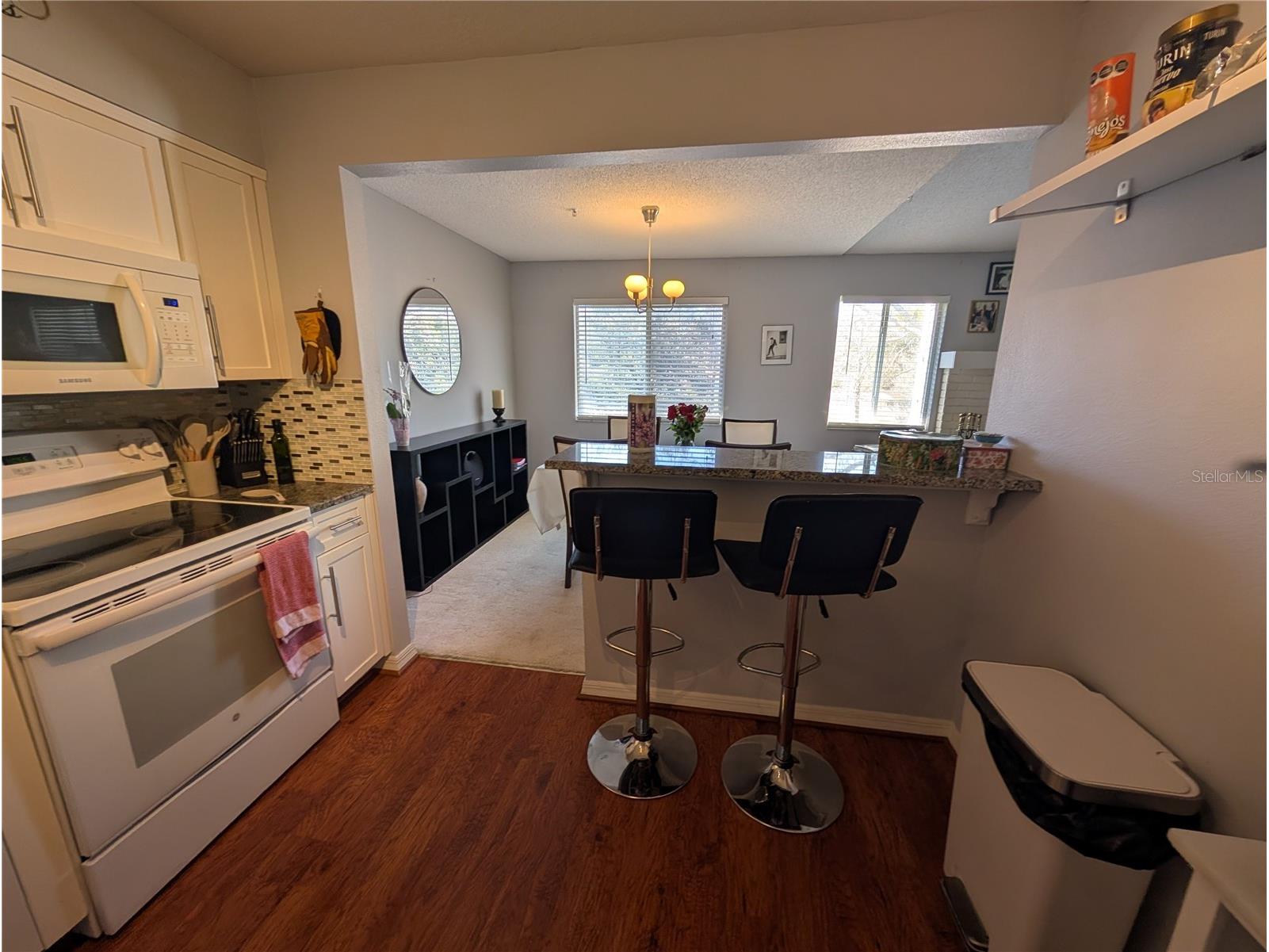 5266 Tunbridge Wells Lane #1807 Orlando FL 32812 O6385044 image5