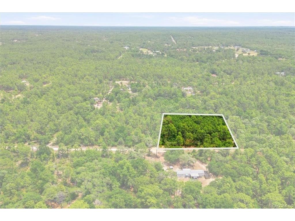 5267 N Lace Point Dunnellon FL 34433 OM724735 image1