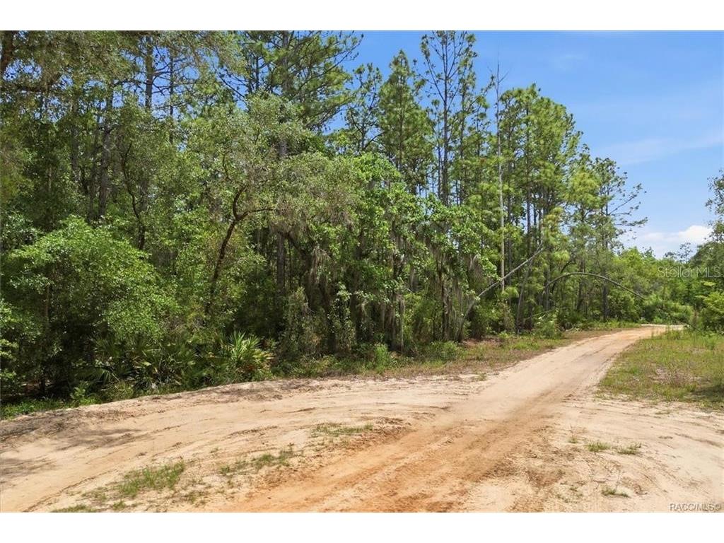 5267 N Lace Point Dunnellon FL 34433 OM724735 image2