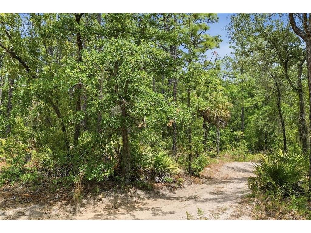 5267 N Lace Point Dunnellon FL 34433 OM724735 image3