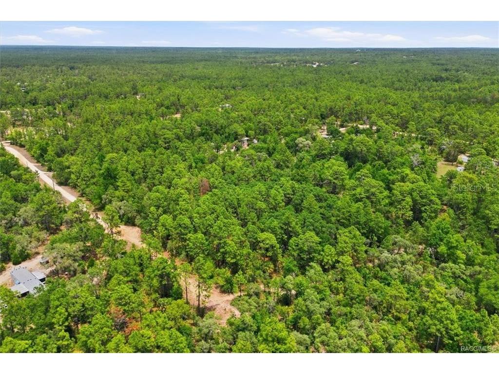 5267 N Lace Point Dunnellon FL 34433 OM724735 image4