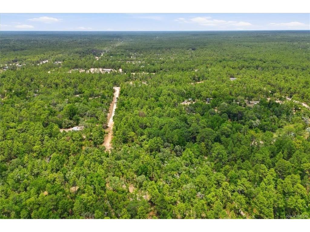5267 N Lace Point Dunnellon FL 34433 OM724735 image6