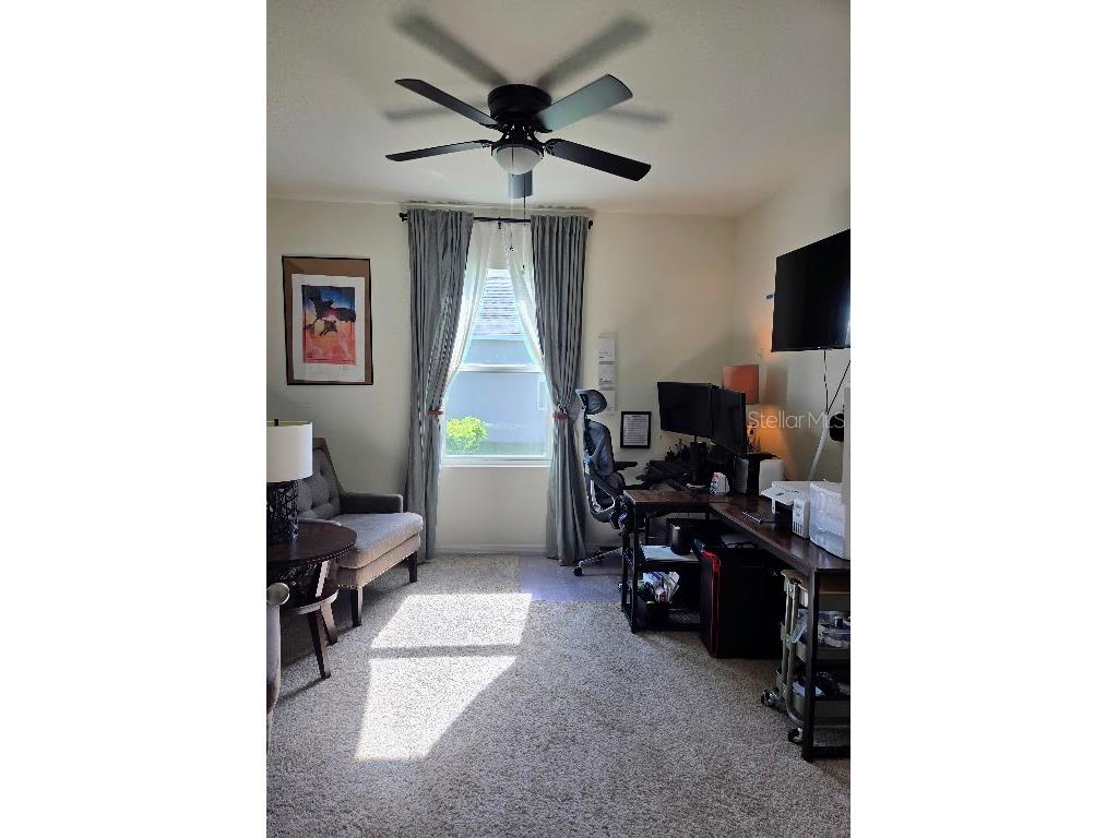 5268 Greenheart Avenue Mount Dora FL 32757 O6411283 image13