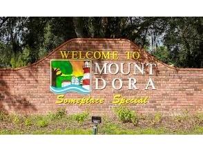 5268 Greenheart Avenue Mount Dora FL 32757 O6411283 image24