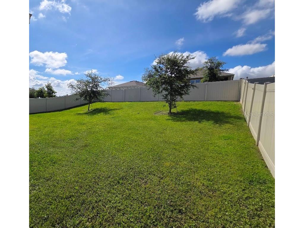 5268 Greenheart Avenue Mount Dora FL 32757 O6411283 image3