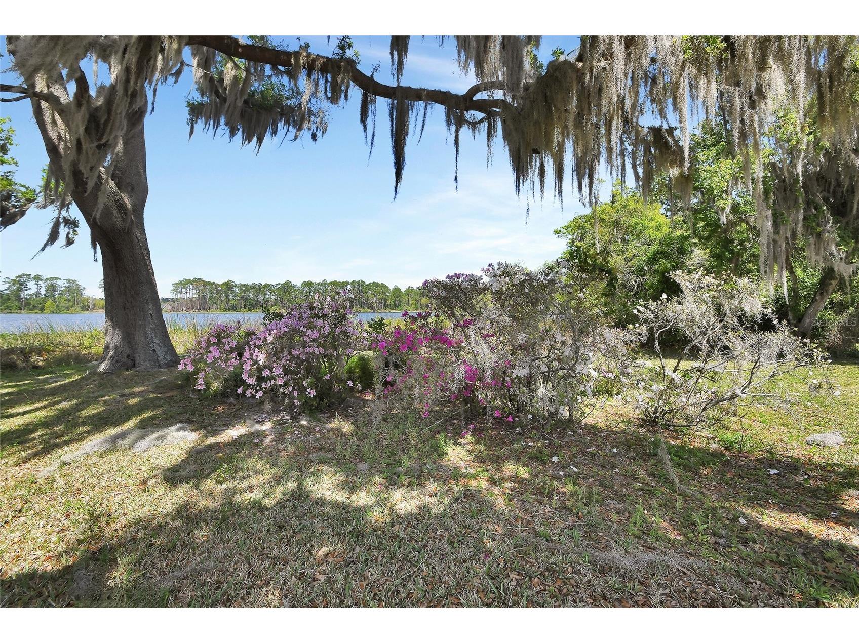5268 State Road 11 De Leon Springs FL 32130 - LAKE DIAS V4948487 image17