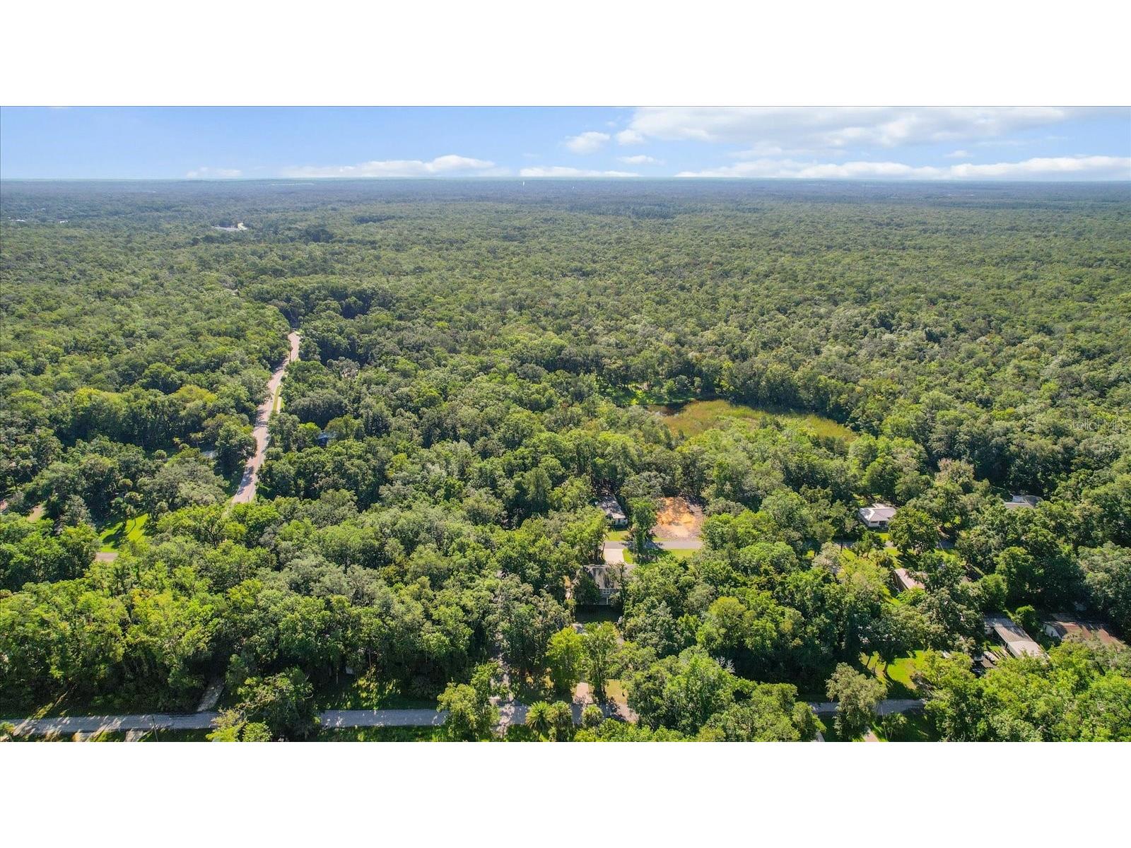 5269 S James Terrace Homosassa FL 34448 OM719930 image4