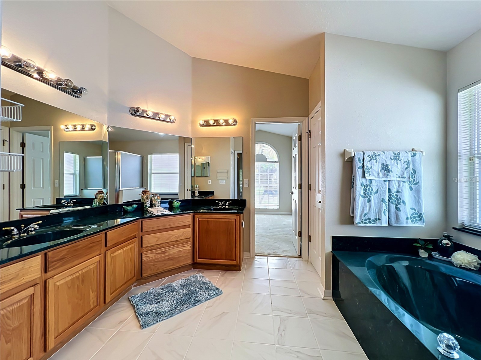 527 Canary Island Court Orlando FL 32828 O6412934 image20