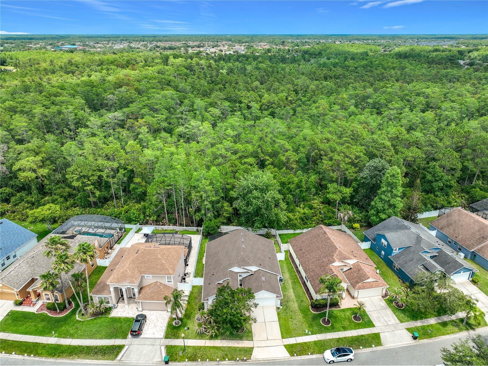 527 Canary Island Court Orlando FL 32828 O6412934 image33