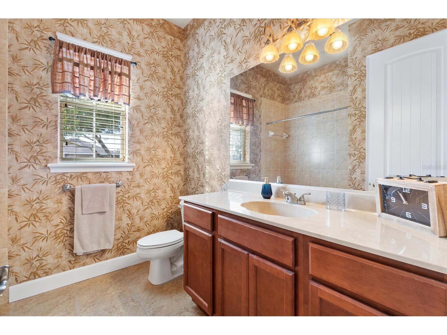 527 Dowling Circle Lady Lake FL 32159 G5105805 image35