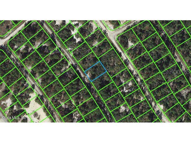 527 Dreamland Drive Lake Placid FL 33852 OM542103 image1